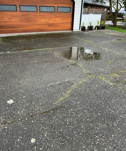 Broom Finish Driveway Replacement With Decorative Borders in Newcastle 